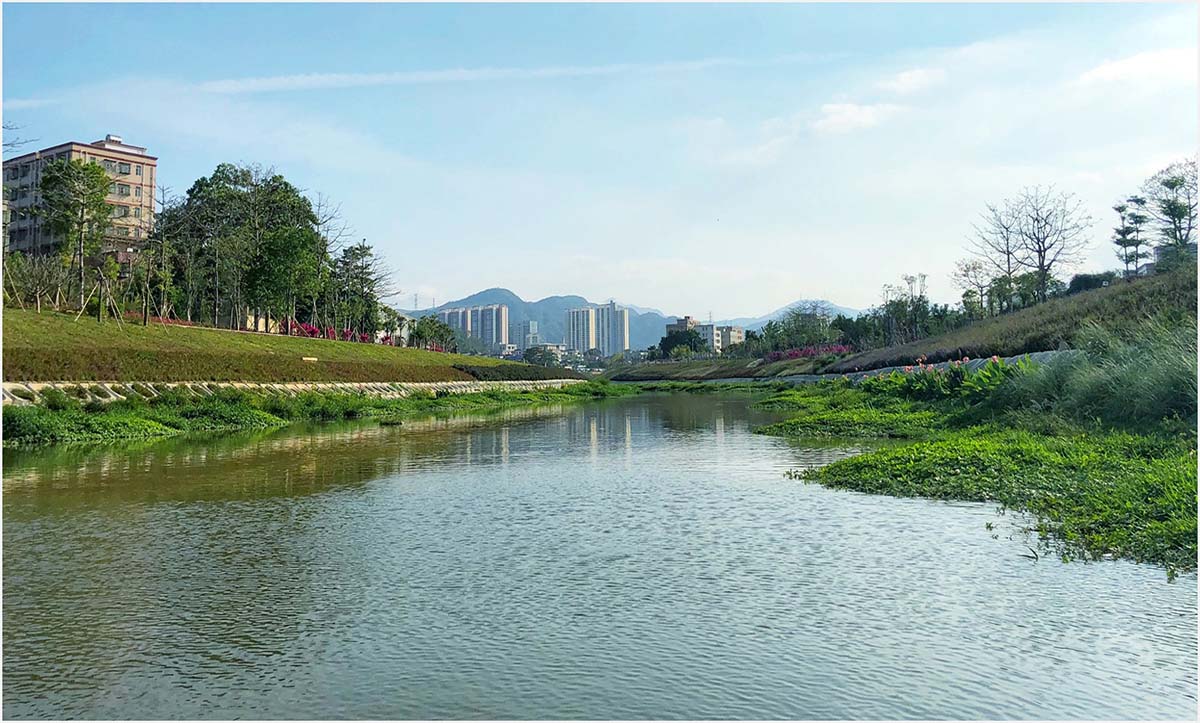 黑臭河道治理